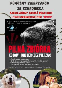 Miniaturka artykułu Zbiórka koców i kołder dla schroniska „Pies i Kot” w Mielcu