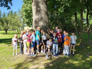 Miniaturka artykułu Przytul się do drzewa