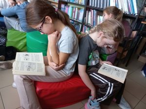 Miniaturka artykułu Dni Bibliotek 2026